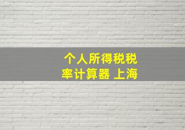 个人所得税税率计算器 上海